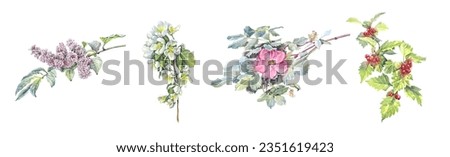 Similar – Image, Stock Photo Bush hawthorn with flowers and buds