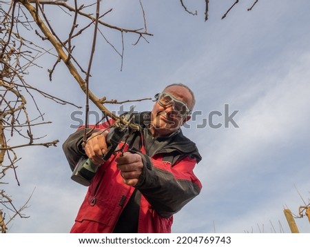 Similar – Image, Stock Photo Senior man pruning branches in back yard