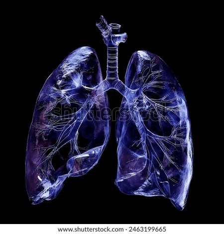 Humen lung  x-ray film on a dark  background, Healthcare and medicine concept.