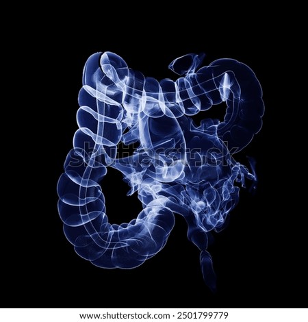 Humen colon x-ray film on a dark blue background