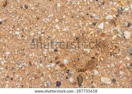 Sand and rock on the ground