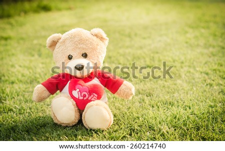 Teddy bear brown color on green grass background in vintage retro style soft focus