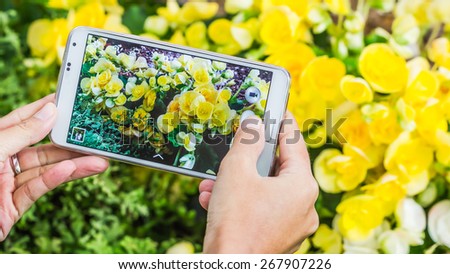 Woman hands taking photo flowers with smartphone soft focus background.