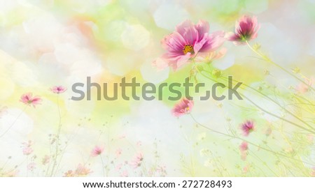 Cosmos flowers with soft blur in the pastel vintage retro tone for background.