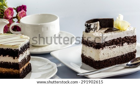 Chocolate with vanilla cream cake on white background soft focus.
