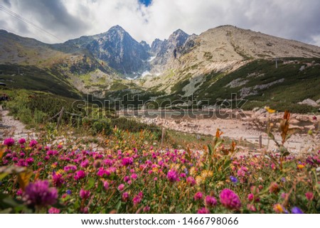 Lomnicky stit in summer, High Tatras, Skalnate pleso lake, Slovakia Stok fotoğraf © 