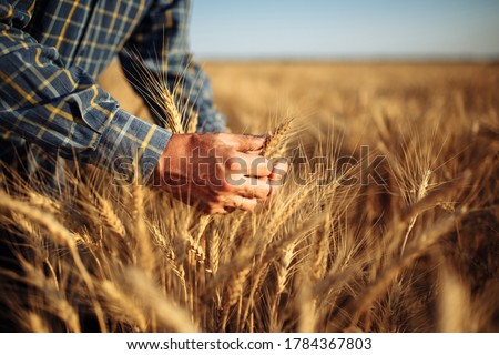 Similar – Image, Stock Photo agricultural field covered with snow