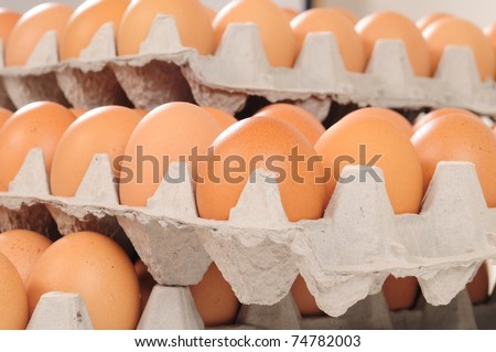 Egg carton.