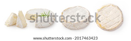 Fresh camembert cheese with sliced camembert isolated. Camembert cheese piece with rosemary on white background. Set of camembert cheeses.
