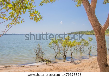 Similar – Image, Stock Photo The lake in the summer