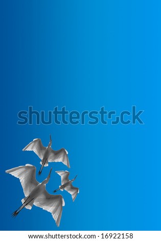 birds formation above, corner composition, copy space left for additions