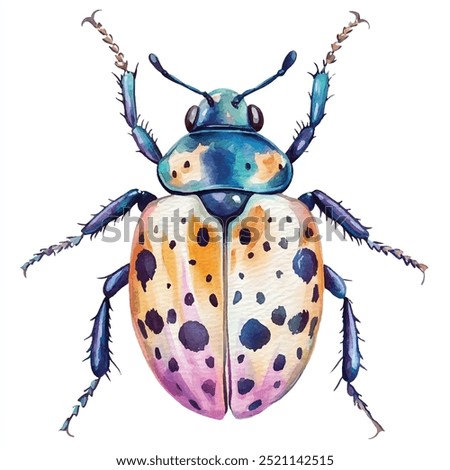 Beetle watercolor clipart illustration isolated