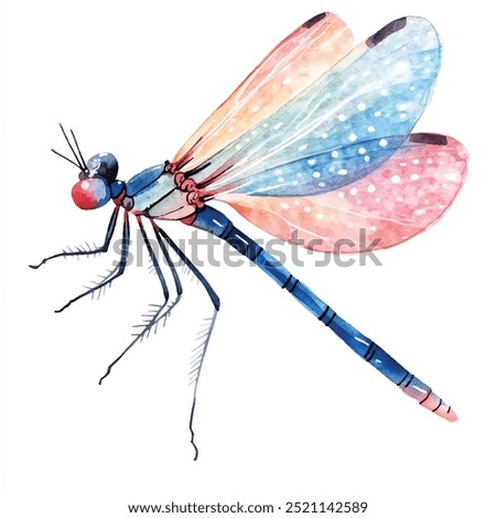 Damselfly watercolor clipart illustration isolated