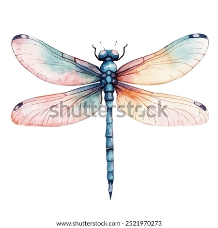 Dragonfly watercolor clipart isolated white background 