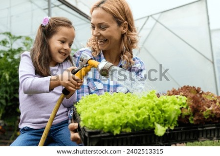 Similar – Foto Bild Salatanbau Nahrungsmittel