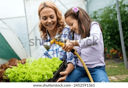 Similar – Foto Bild Salatanbau Nahrungsmittel