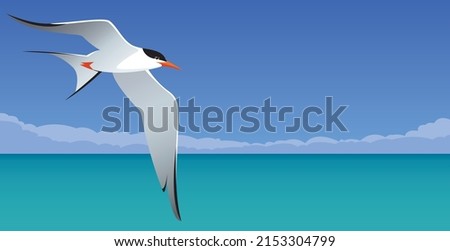 Arctic tern in flight vector illustration
