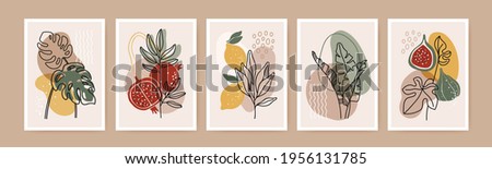 Minimal boho poster. Modern botanical wall art decor with nature elements, tropical leaves, fruits, abstract organic shapes. Contemporary botanic print vector set. Creative artwork with fig, lemon