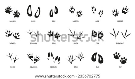 Animal footprints. Wild foot paw prints of different animals, foot silhouette trail of wild bests, dog fox elk ferret and deer paw. Vector isolated set. Domestic pets and wildlife traces