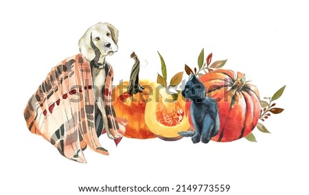 Golden retriever in a plaid,kitten and pumpkins with fallen leaves. Autumn themed design. Halloween illustration. Harvest clipart. Thanksgiving seasonal clipart isolated on white.