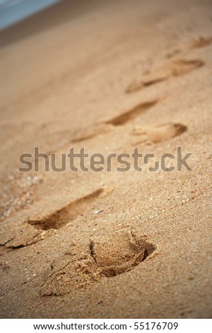Someone walked in the sand and left footsteps