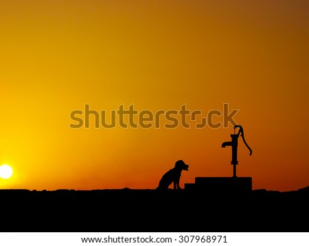Silhouette Besides the water pump,,a thirsty dog