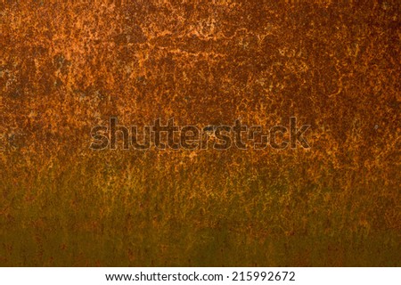 Rusted wall covering at an abandoned old garage showing signs of molding.