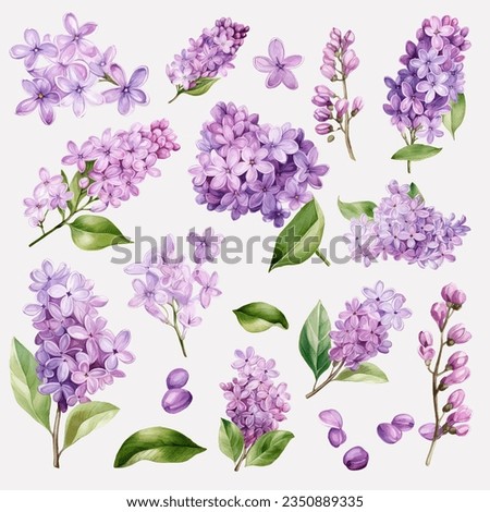 Image, Stock Photo Lavender flowers violet and scented