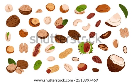 Nuts set. Walnuts, hazelnuts and coconut. Healthy vegan snack pistachios, chestnuts and almond, cashews and peanuts. Different superfood. Natural food product vector cartoon flat isolated illustration