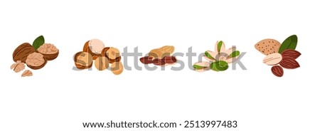 Nuts set. Walnuts, hazelnuts and coconut. Healthy vegan snack pistachios, chestnuts and almond, cashews and peanuts. Different superfood. Natural food, vector cartoon flat isolated illustration