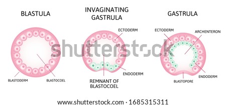 Shutterstock Puzzlepix