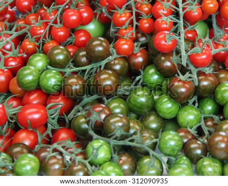 A Mix of Different Coloured Freshly Picked Tomatoes.