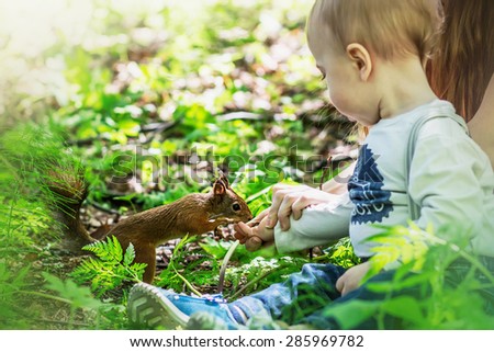 Cute squirrel is being fed by cute little boy