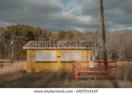 Image, Stock Photo 200 / Quiet country road in the sunshine with flowering tree