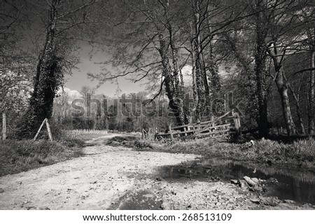 Black and White Road Spring Shropshire