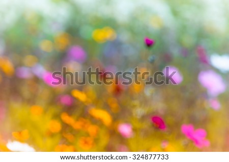 Blurred Summer Meadow Wildflowers Background