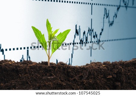 growth or growing economy concept with business chart and young plant