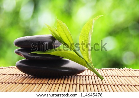 zen stones with green leaves and copyspace showing wellness