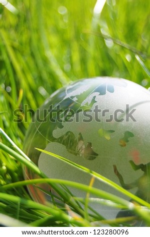 glass globe or earth in green grass showing eco concept with copyspace