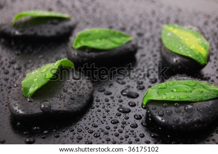 wellness massage or bath concept with zen stones leafes and water drop