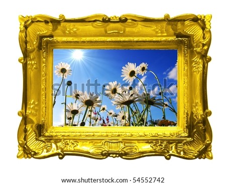 flower or summer concept with image frame isolated on white background