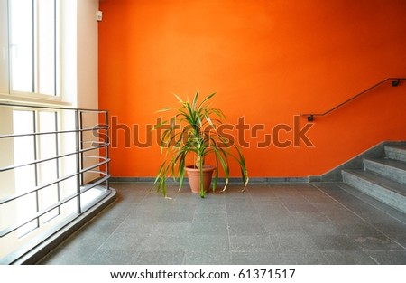 plant in pot on an orange wall with copyspace for a text message