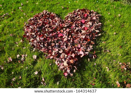 Valentines Day heart shaped from a pile of leaves on the grass