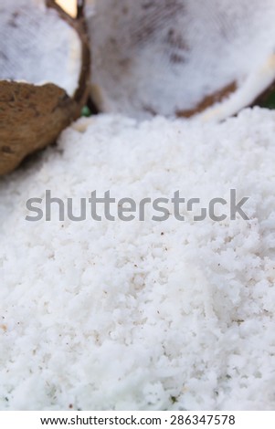 close up of a coconut and a pile of shredded coconut.