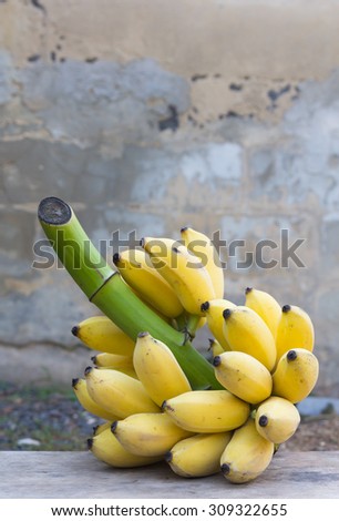 bunch of ripe bananas on old wall background.