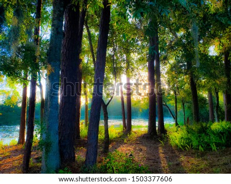 Similar – Image, Stock Photo Nature trail in a wetland area