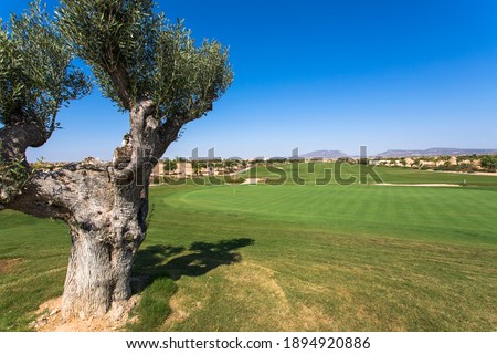 various parts of a golf course located in the Mar Menor region Foto stock © 