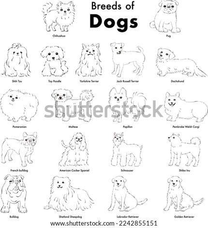 Simple and cute popular dog breed hand-drawn line drawing vector illustration set