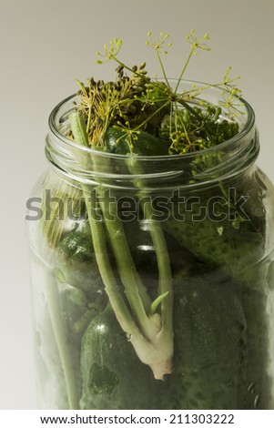 low salt pickled cucumbers in a mug