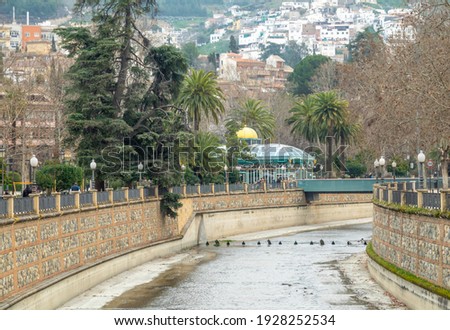 View of the gardens of the Paseo del Salón next to the Genil river in Granada (Spain) Foto stock © 
